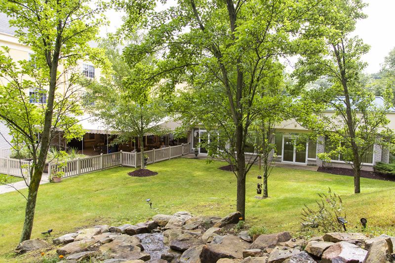 A serene garden with trees and a building in the background.