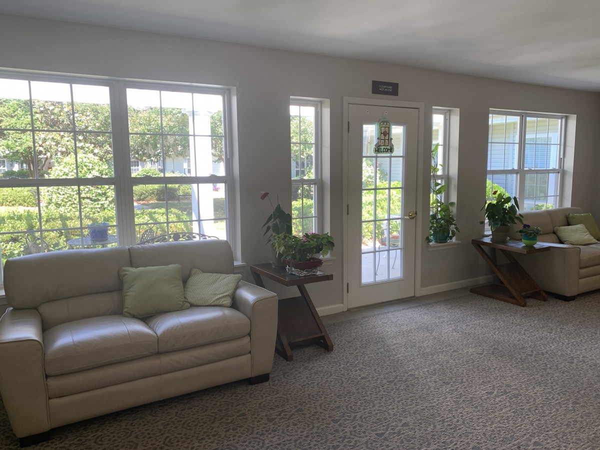 A bright and cozy living room with large windows, a comfortable sofa, and green plants.