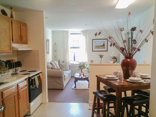 A cozy and inviting open-concept living space featuring a kitchen, dining area, and comfortable seating.