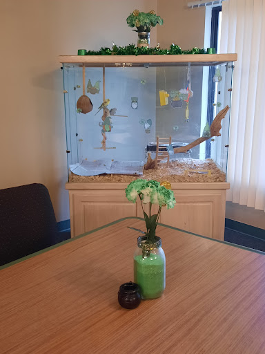 A cozy indoor space featuring an aquarium with decorations and a small plant centerpiece on the table.