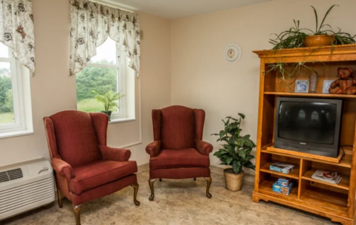 A cozy living room with red armchairs, a wooden cabinet with a TV, and an indoor plant near the window.
