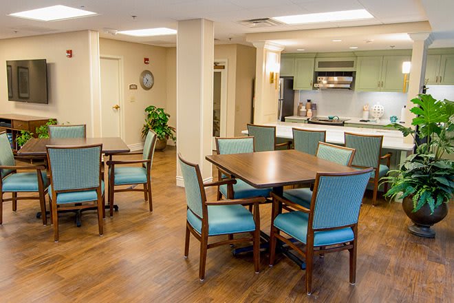 A well-lit dining and kitchen area with wooden flooring and blue upholstered chairs.