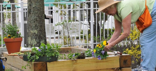 A person tending to flowers in a garden bed, enjoying the peacefulness of nature.