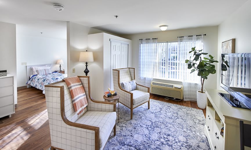 A cozy living room with armchairs, a patterned rug, and ample natural light.