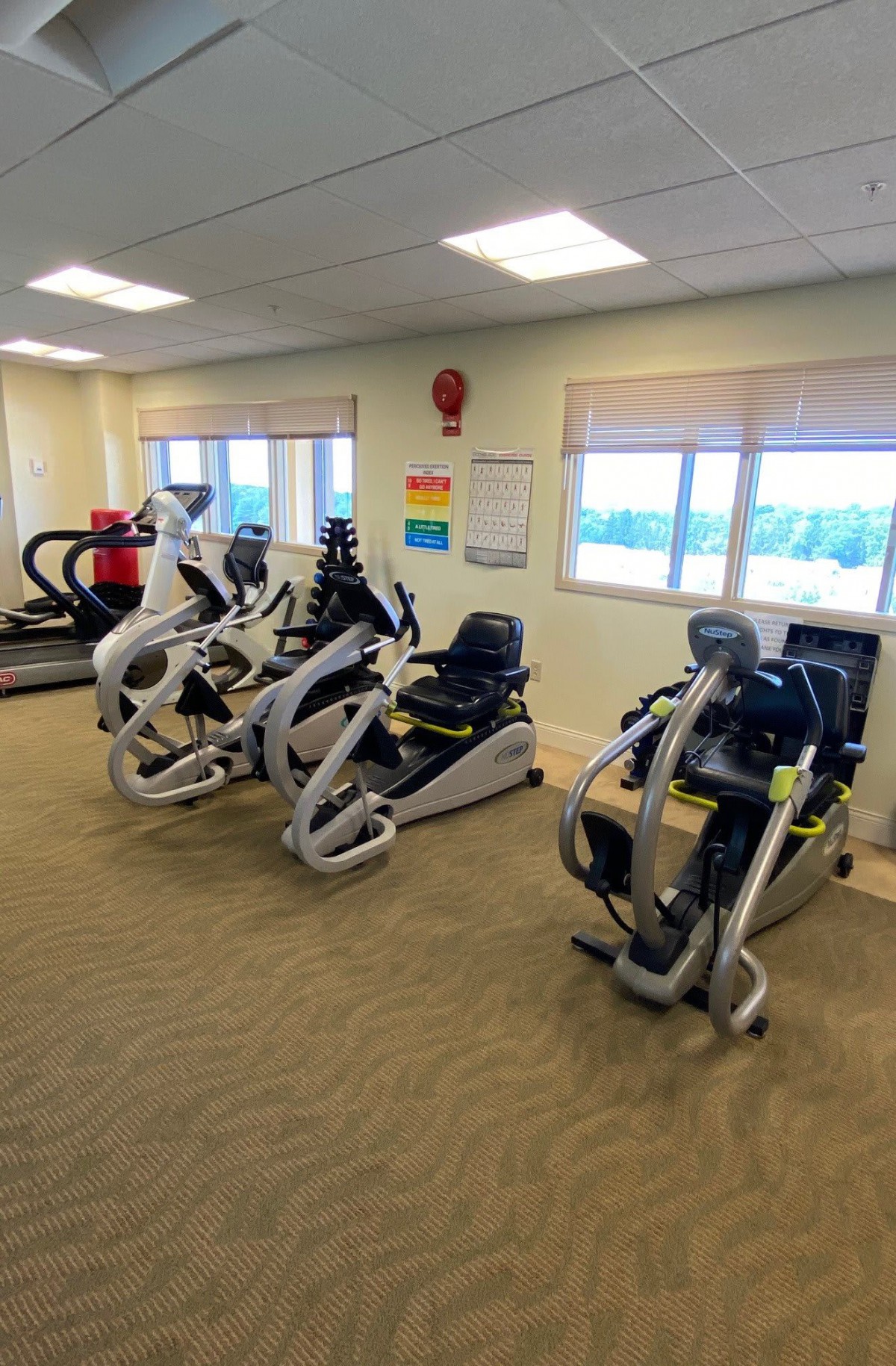 A well-lit gym with various cardio machines lined up next to the windows.