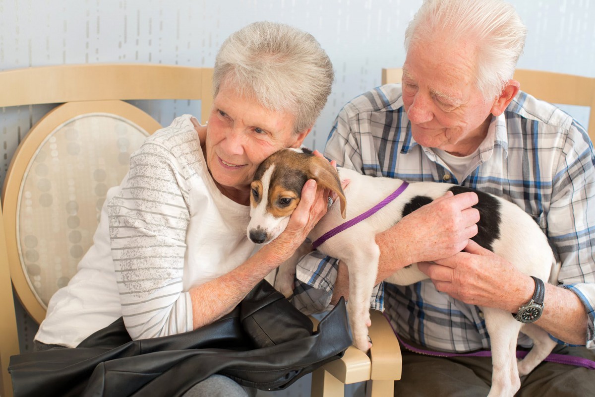 An elderly couple enjoying a warm moment with their dog indoors.