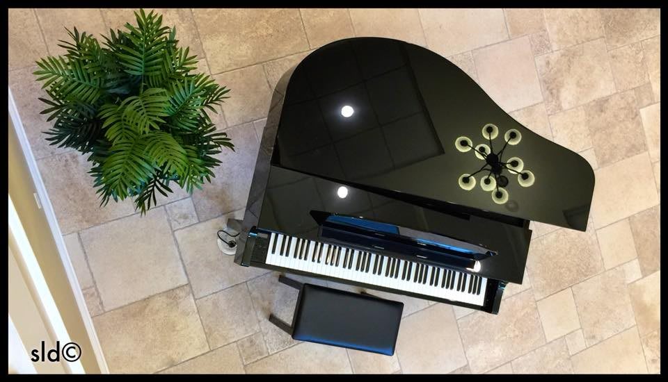 A black grand piano with a glossy finish placed on a tiled floor next to a green plant.