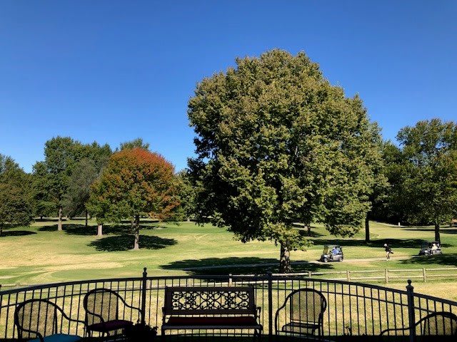 A sunny day at a park with trees, benches, and chairs overlooking a golf course.