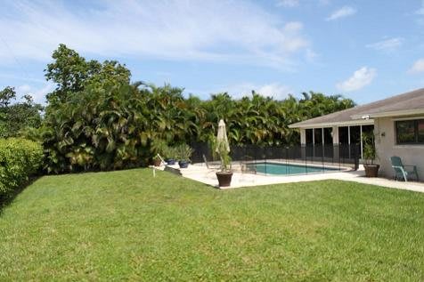 A sunny backyard with a swimming pool, surrounded by green lawn and trees.