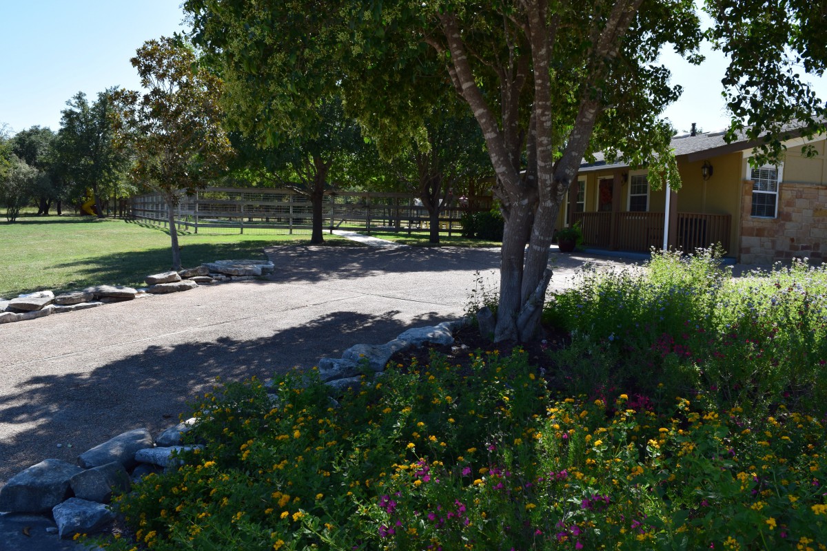 A peaceful garden scene with trees, flowers, and a house in the background.