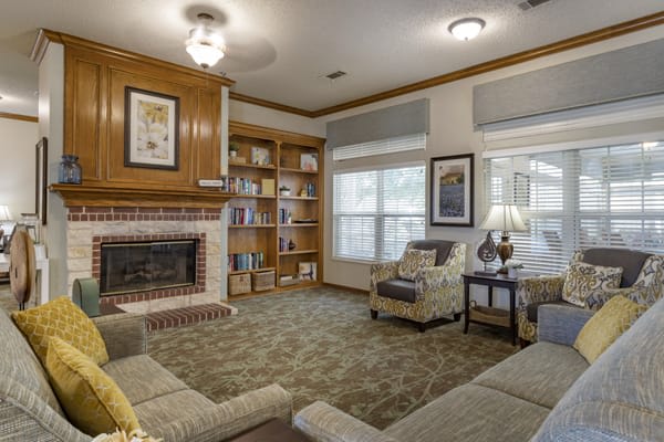 Cozy living room with a fireplace and bookshelves.