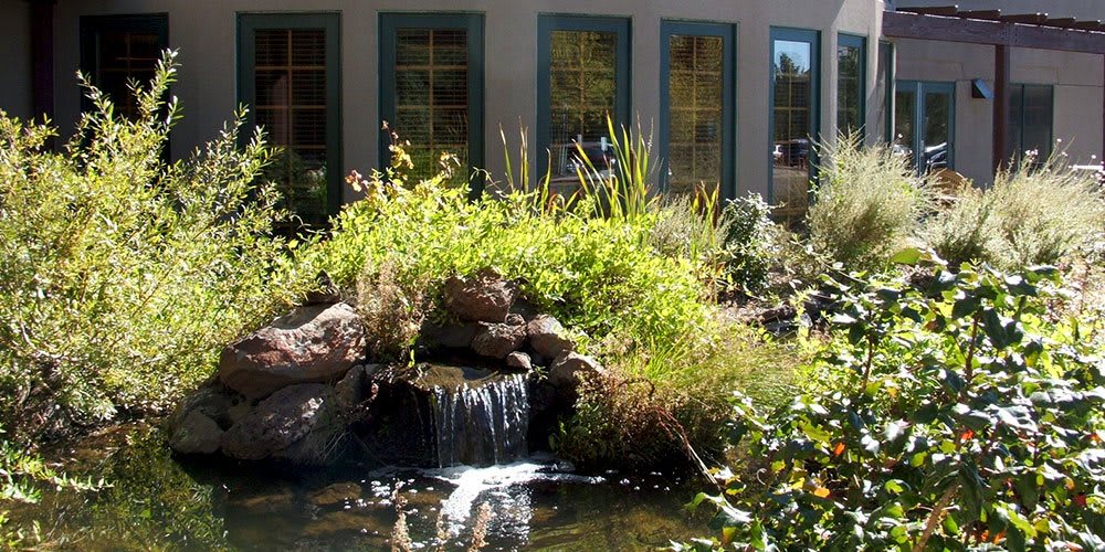 A serene garden with a small waterfall and lush greenery.