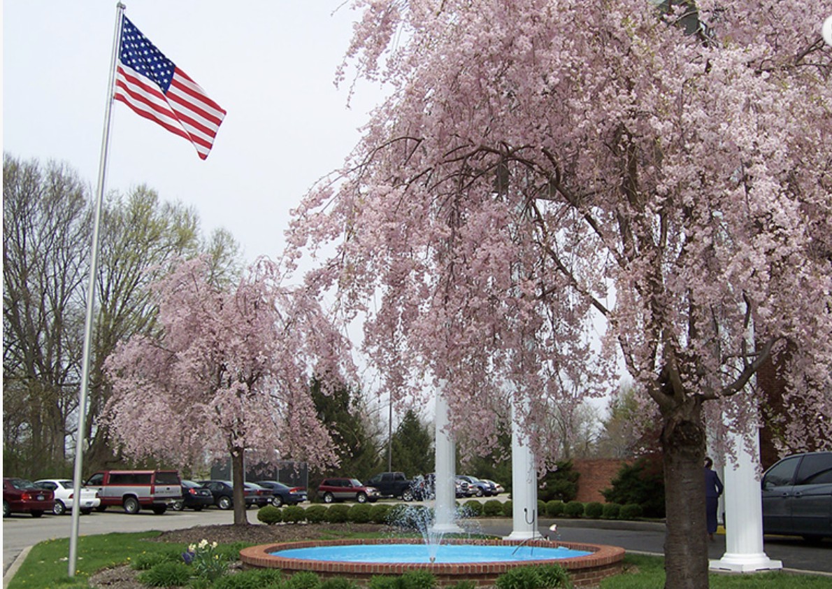 Colonial Gardens