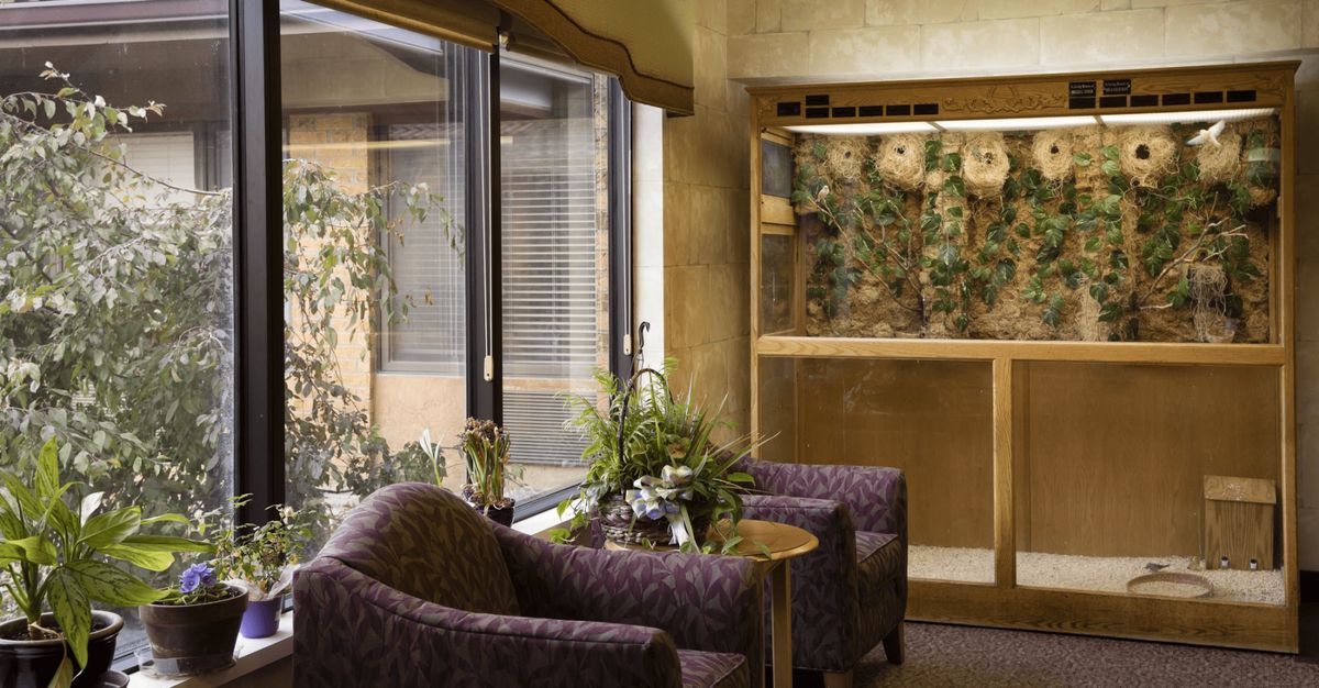 A cozy waiting room with chairs, a table, and an indoor plant arrangement by the window.