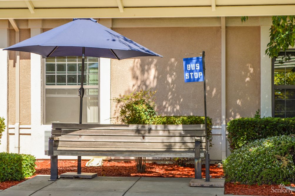 A bench with an umbrella at a bus stop on a sunny day.