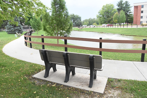 A peaceful view of a bench by a pond in a park, surrounded by trees and walking paths.