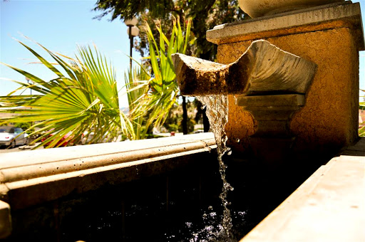 A serene view of water flowing from a fountain, surrounded by lush green palm leaves under the bright sun.