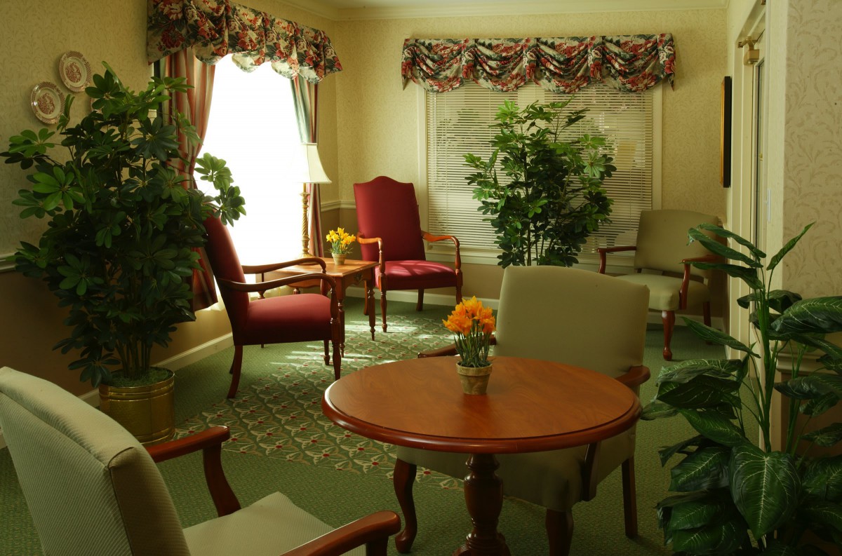 A cozy living room with chairs and a table surrounded by plants, decorated with curtains and sunlight streaming through the window.