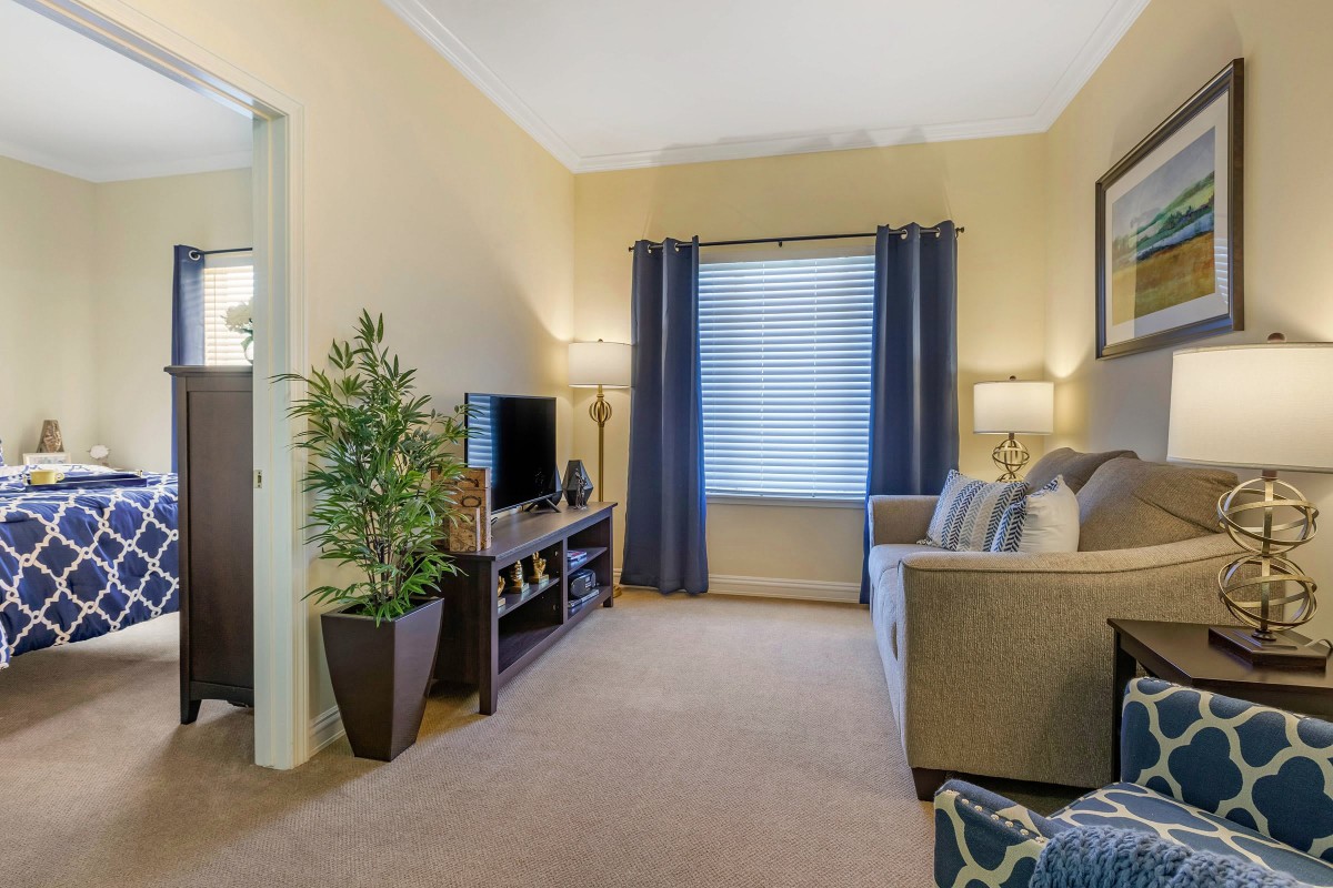 A cozy living room with a TV, comfortable sofa, and decorative plants.