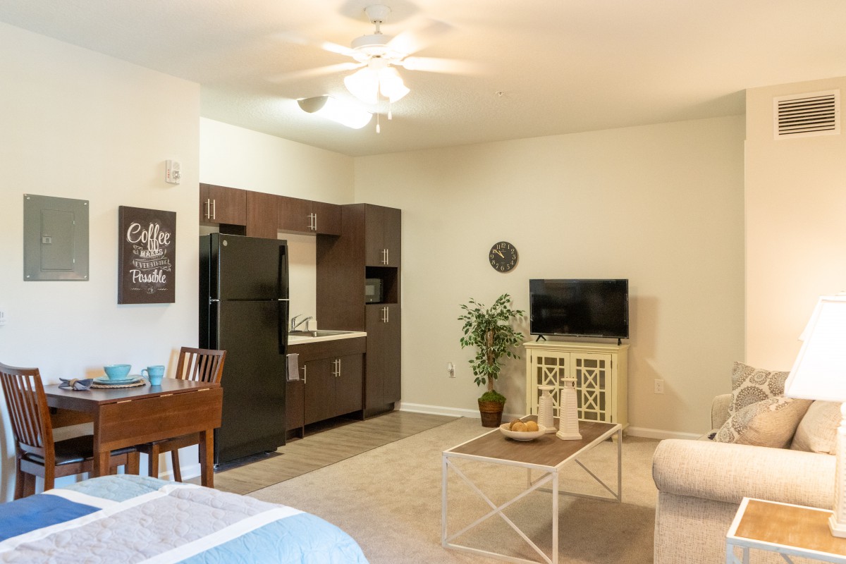 A modern apartment with an open kitchen and living area, featuring stylish decor and furnishings.