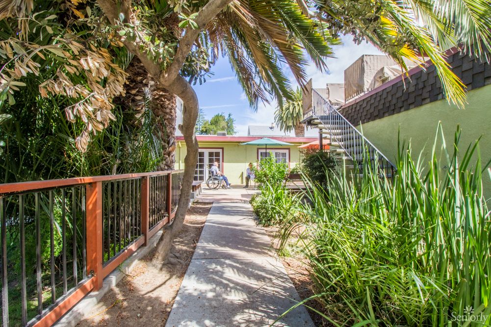 A sunny garden pathway leading to a house, flanked by palm trees and lush greenery.