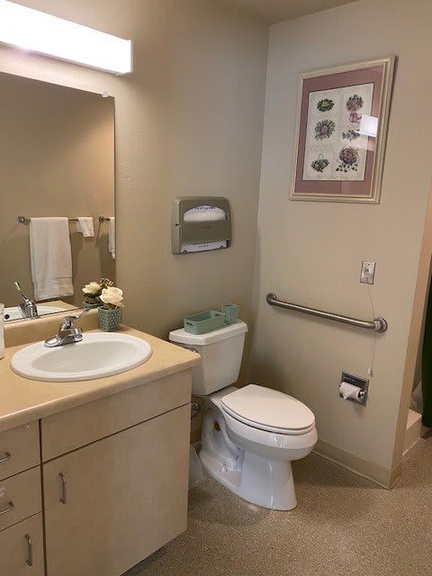 A well-organized bathroom with a sink, toilet, mirror, and decorative elements.