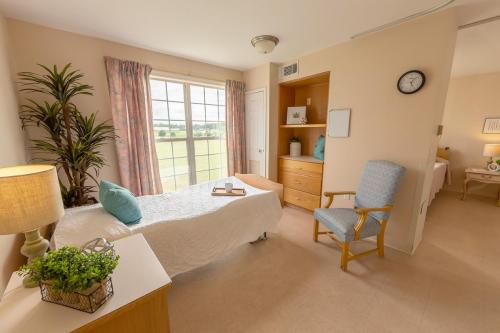 A peaceful and inviting bedroom with ample natural light, featuring cozy furniture and soothing decor.