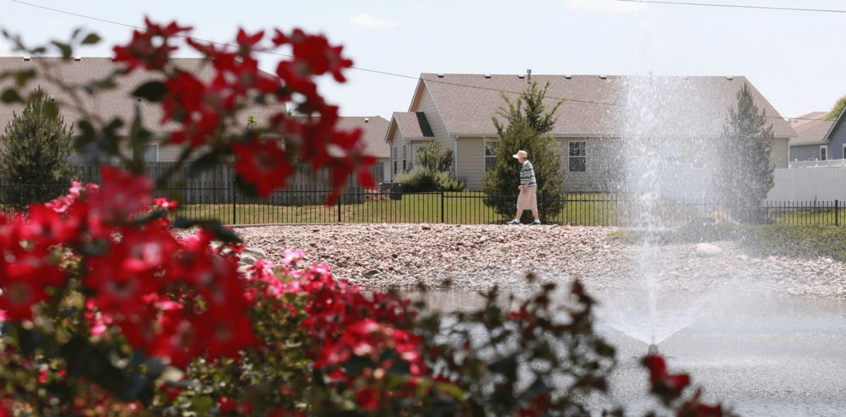 A person walks along a path in a suburban neighborhood, with vibrant red flowers in the foreground.