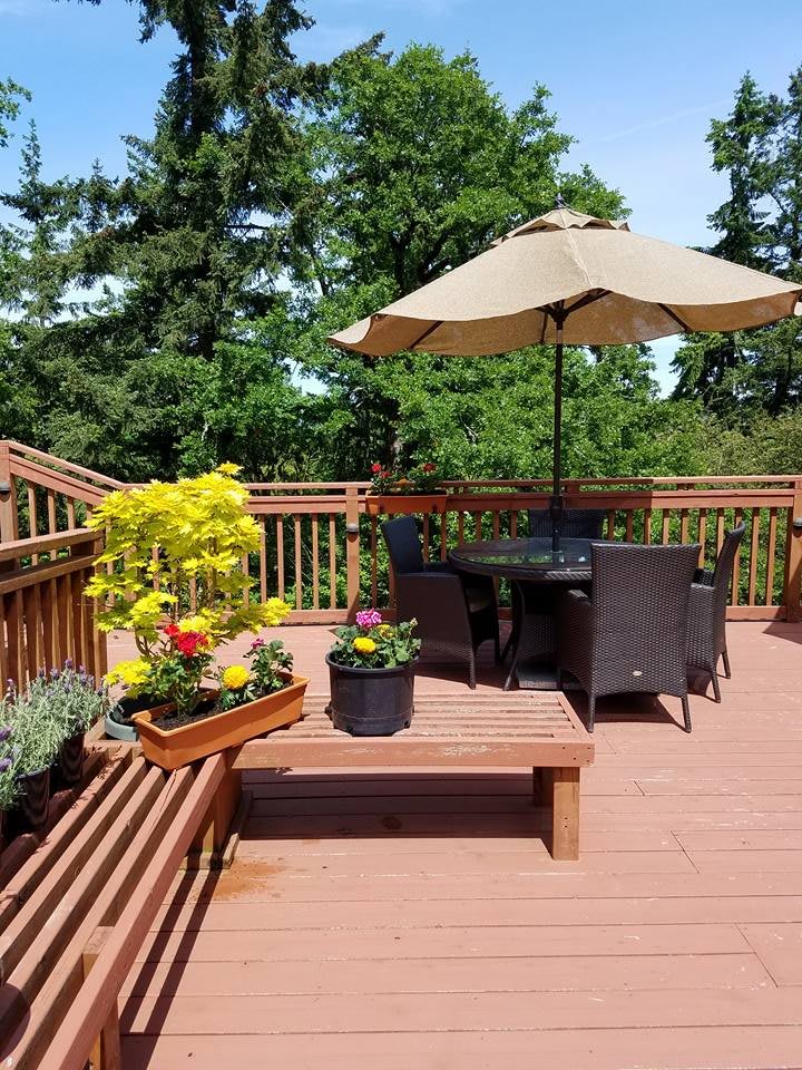 A sunny outdoor deck with patio furniture, an umbrella, and vibrant potted plants.