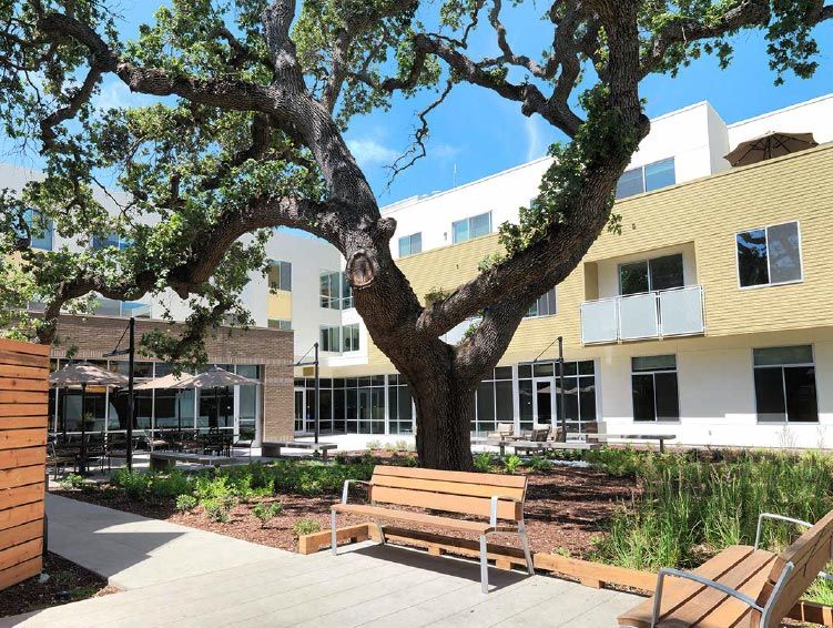 A beautiful courtyard with a large tree, a wooden bench, and modern buildings in the background.
