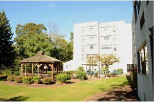 A sunny outdoor scene featuring a gazebo in a garden with trees and a multi-story building in the background.