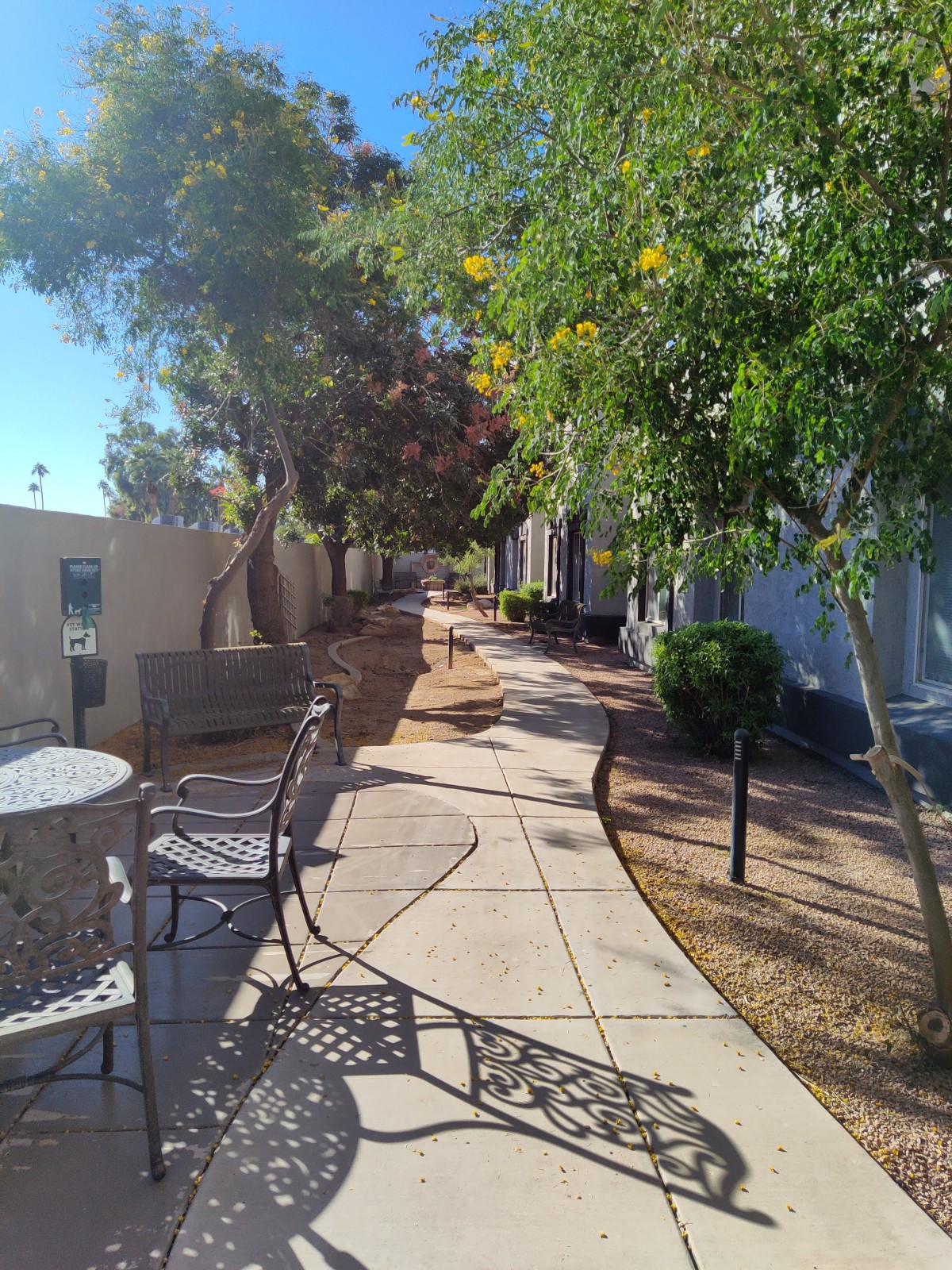 A sunny pathway with outdoor seating and lush greenery.