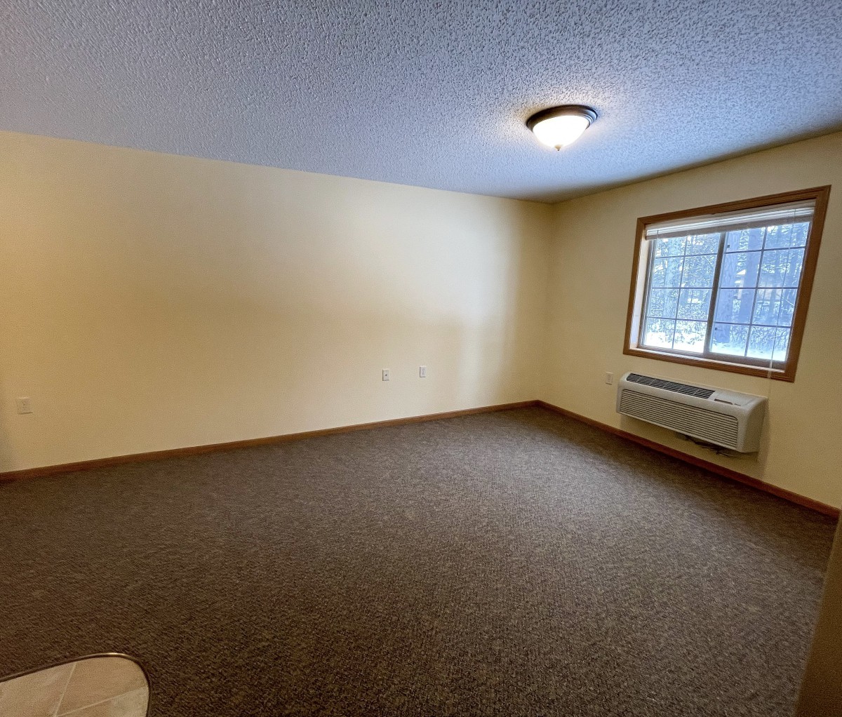 An empty room with carpet flooring, featuring a window, light fixture, and air conditioner.