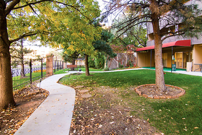 A scenic park with a winding pathway, surrounded by trees and greenery in an autumn setting.
