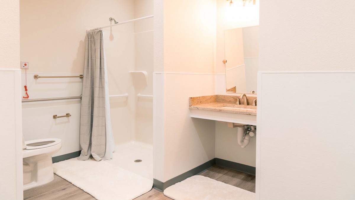 A modern bathroom featuring a walk-in shower and a sleek vanity with a mirror.