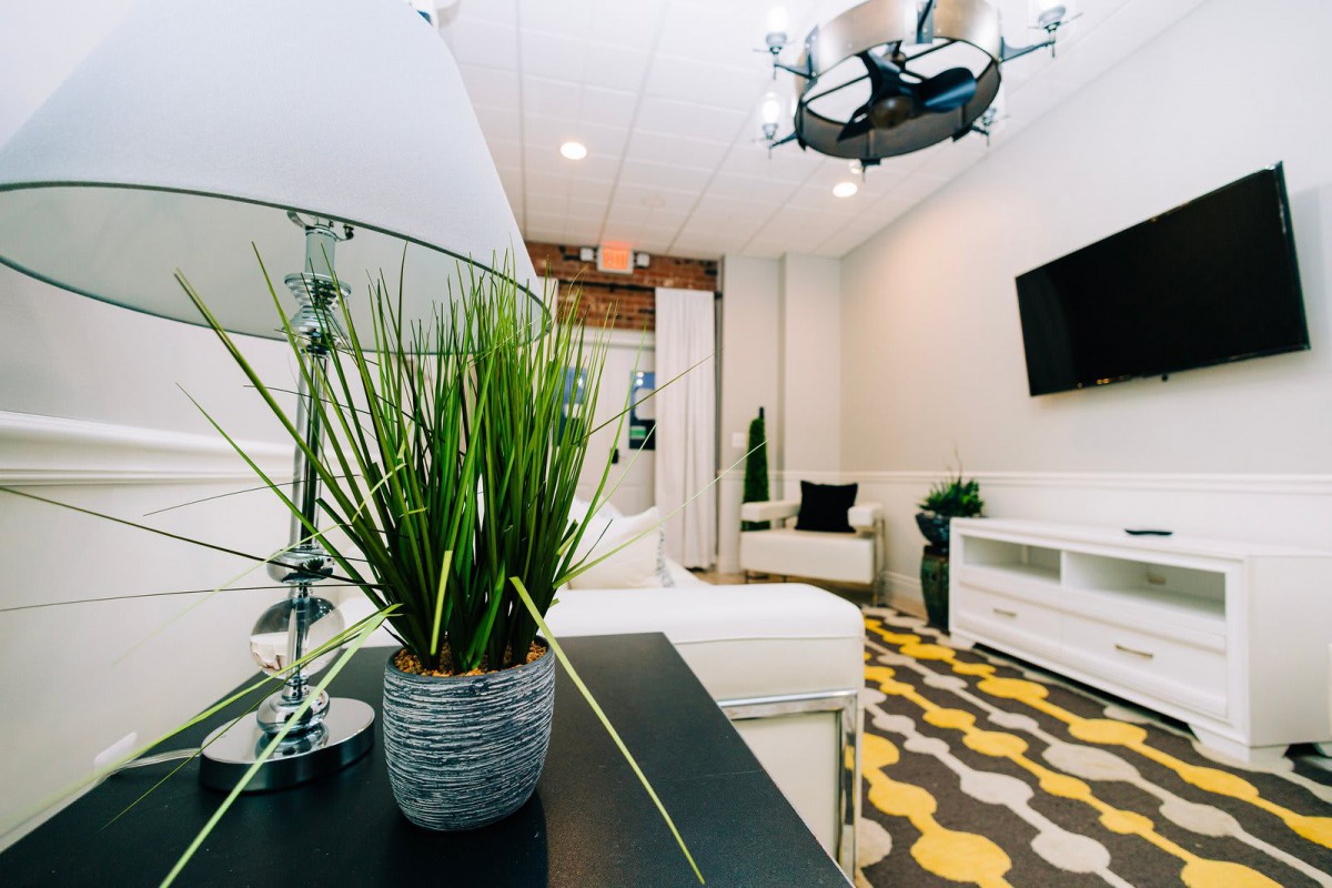 A modern living room with minimalist decor, featuring a potted plant, sleek furniture, and a TV.