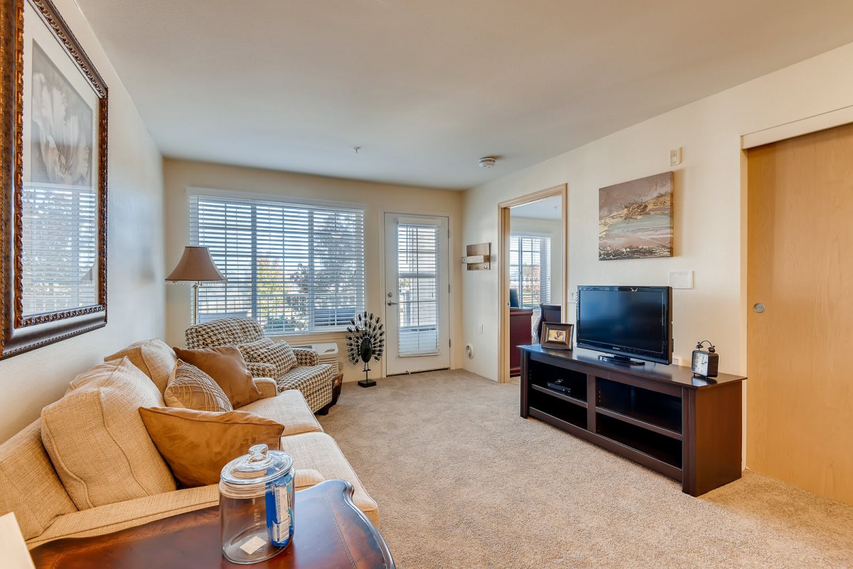 A cozy living room with a sofa, television, and large windows letting in natural light.