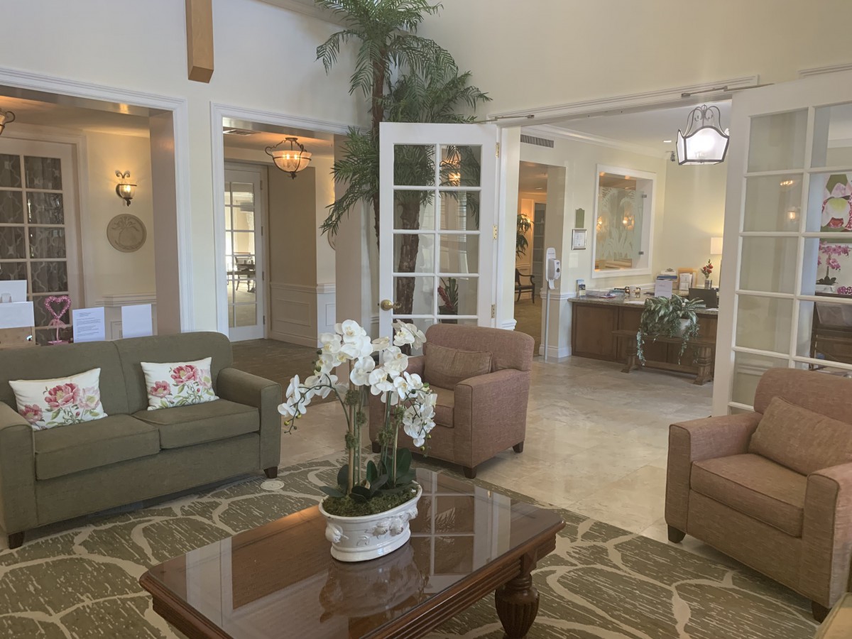 A cozy living room with comfortable seating, a coffee table, and decorative plants.