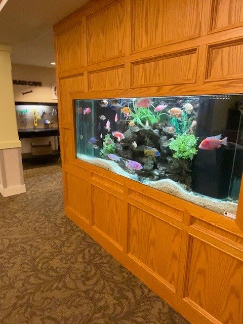 A vibrant aquarium with colorful fish is set into a wooden-paneled wall.