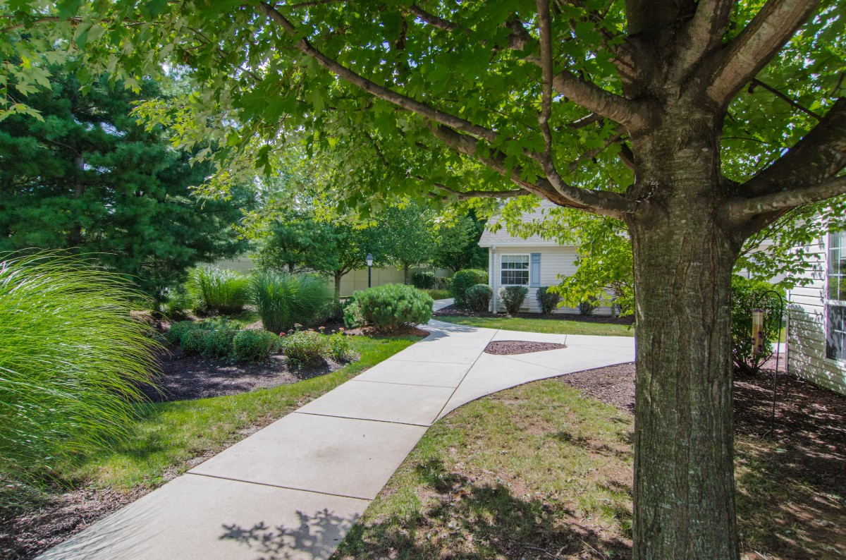 A serene garden pathway leading to a small building, surrounded by lush greenery and trees.