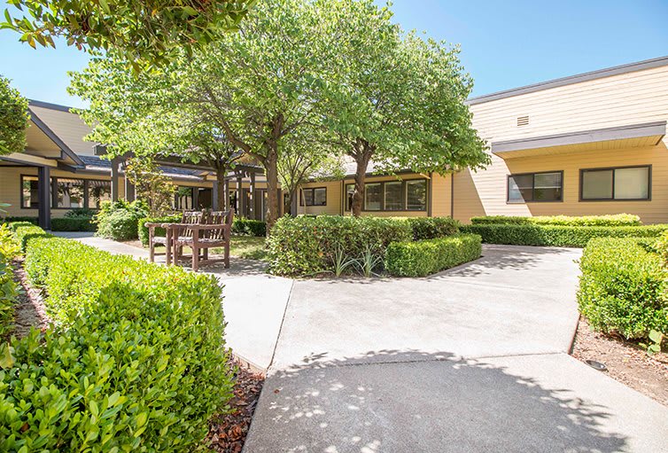 A peaceful courtyard with benches, trees, and a paved walkway on a sunny day.