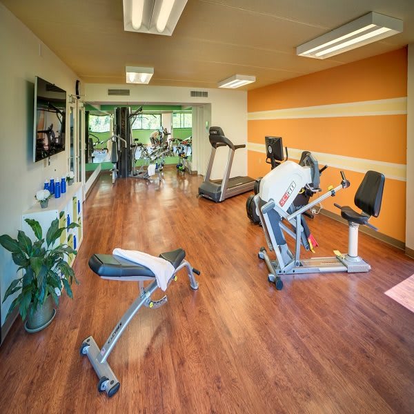 A modern gym with various exercise equipment including treadmills and stationary bikes on a wooden floor.