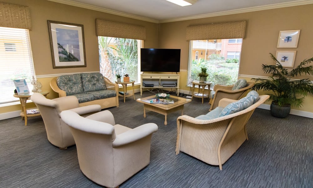 A cozy living room with comfortable seating, a large television, and natural light from the windows.