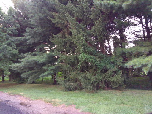 Ridgeway Manor Nursing & Rehabilitation Center