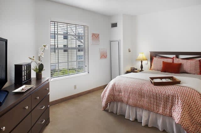 Cozy bedroom with warm decor and natural light.