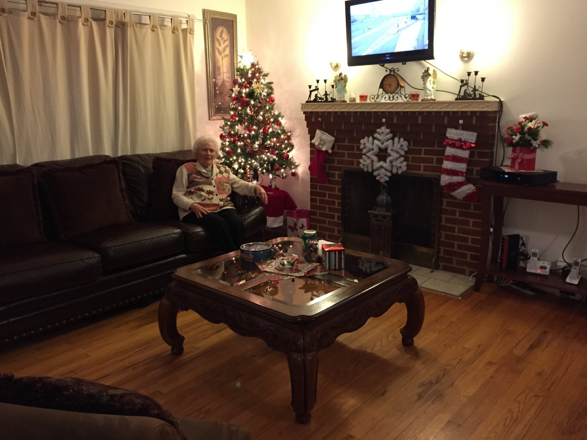 A cozy living room decorated for the holidays, featuring a Christmas tree and stockings hung by the fireplace.