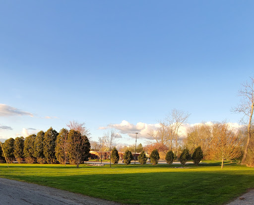 A serene view of a park on a clear day, featuring lush green grass and trees under a blue sky.