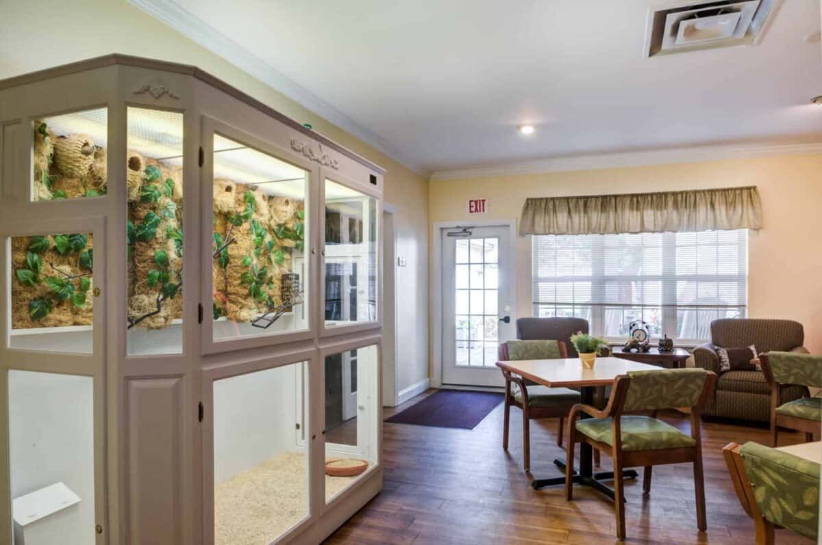 A cozy waiting room with seating and a large decorative display.