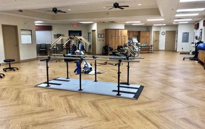 Buena Vida Nursing And Rehab - Odessa