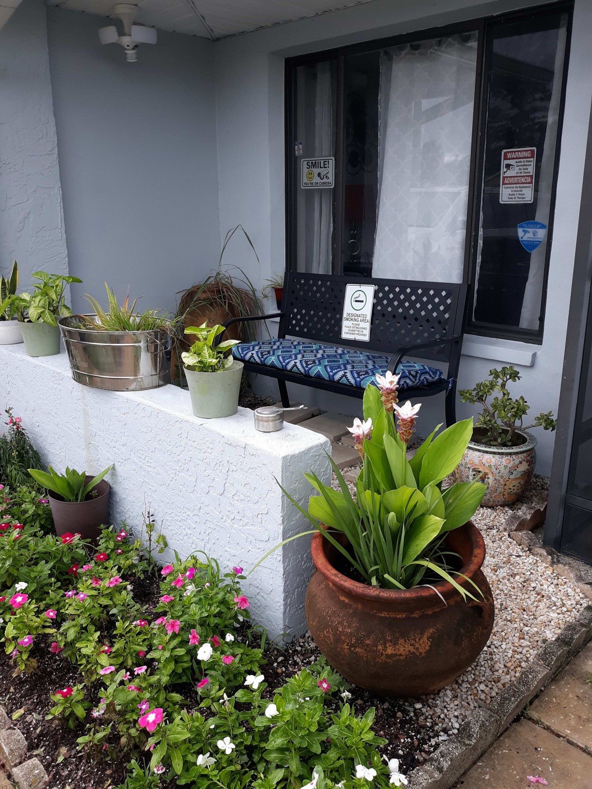 A cozy outdoor area featuring various potted plants and a bench with floral decorations.